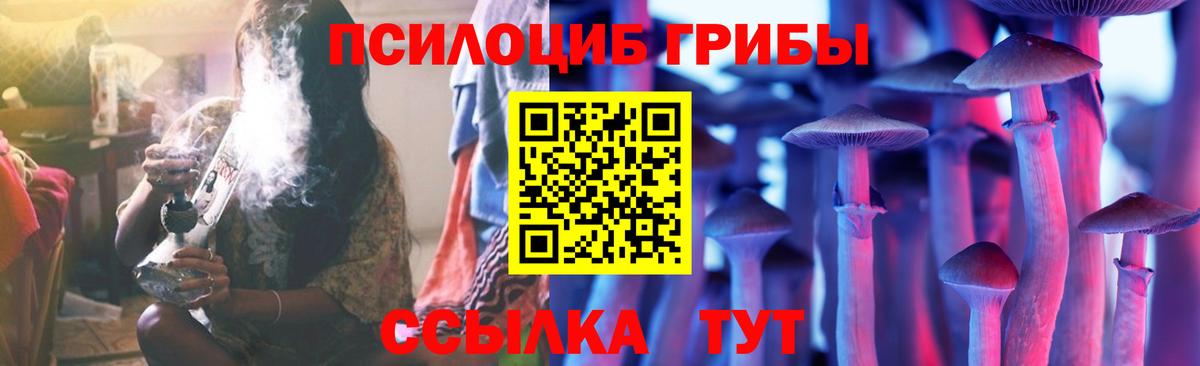 Галлюциногенные грибы ЛСД  Псилоцибиновые грибы Psilocybe  Вход с VPN  Сальск 